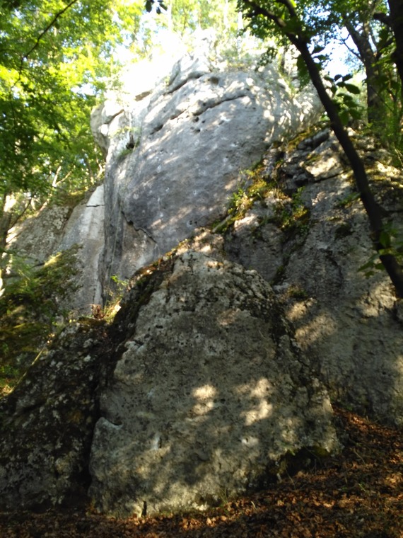 Skały przed Dolinką