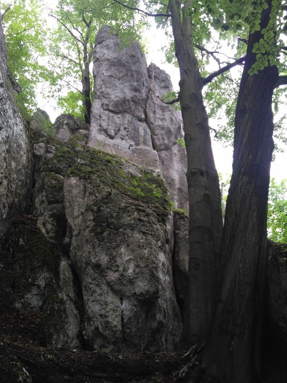 Skały przed Dolinką