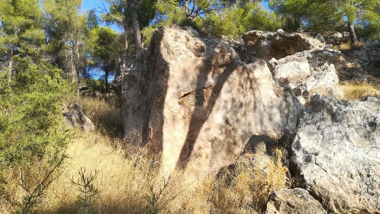 Primer sector (alto)