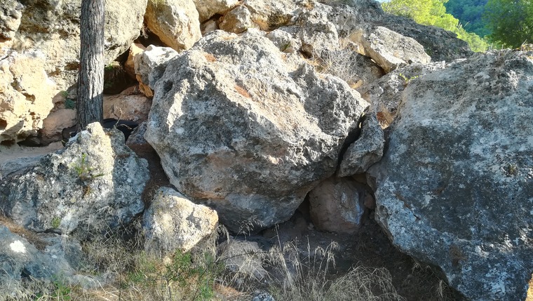 Primer sector (alto)