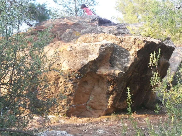Peke Park- Bloque:Elefante