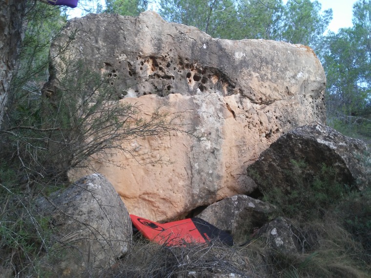 Peke Park -Bloque: laPIÑA