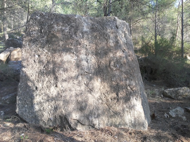 Peke Park- Bloque:Terronzico