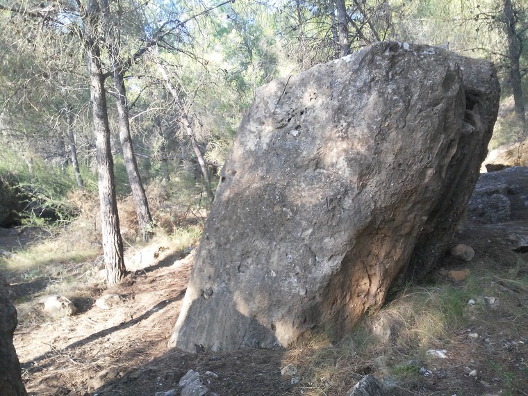Peke Park- Bloque:Terronzico