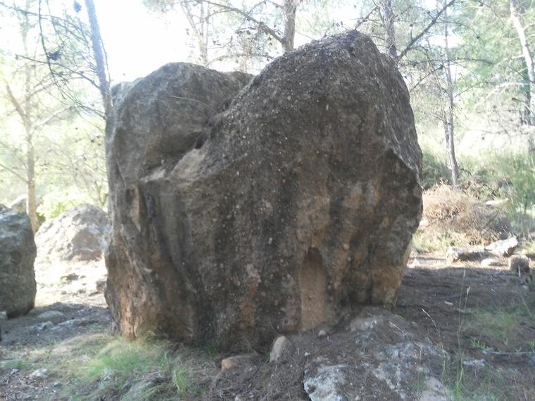 Peke Park- Bloque:Terronzico