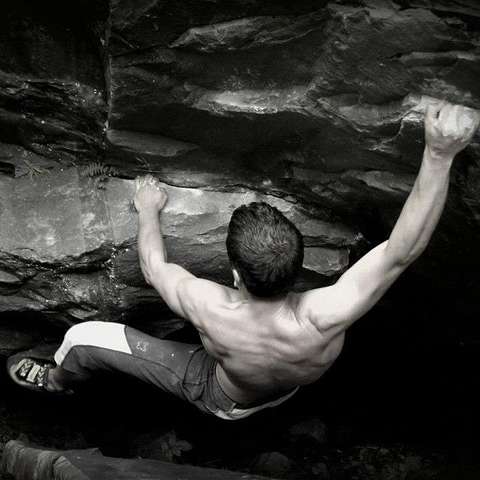 Dario Pedrocchi