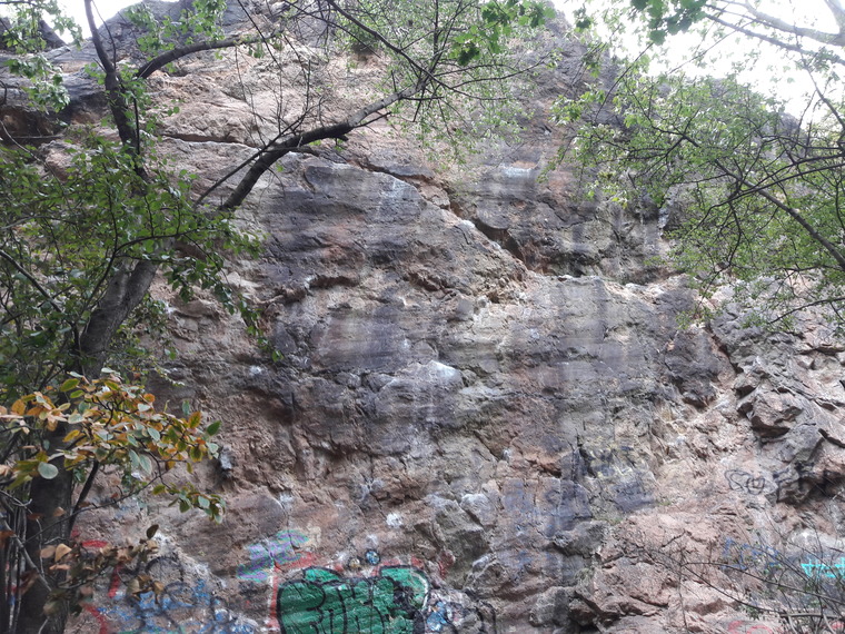 Alpine Trainingswand