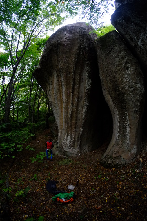 Три медведя