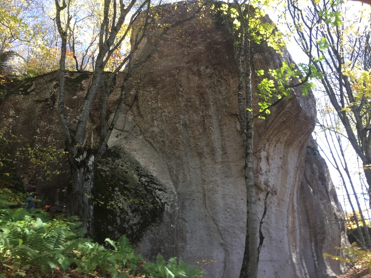 Три медведя