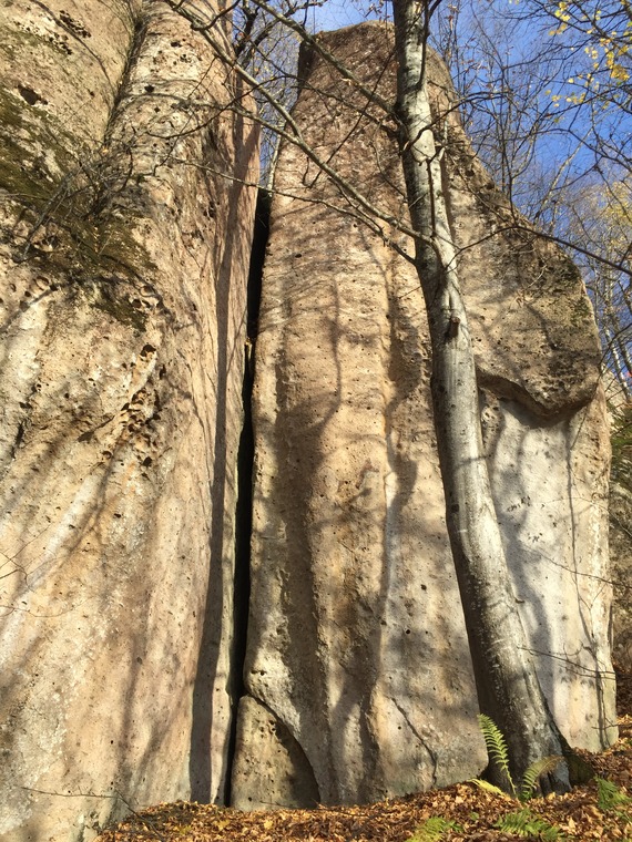 Три медведя