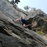 Pau Llopart  Cervello