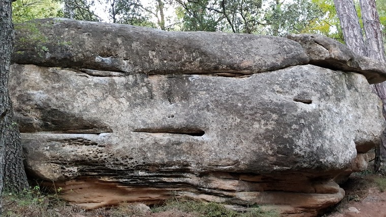 Albarca 2 - les calaveres