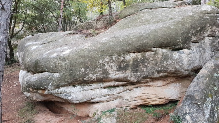 Albarca 2 - les calaveres