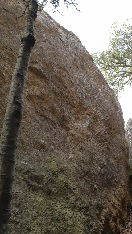 Ermita 1 - esquàlid