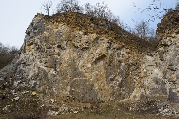 Petr Bok - levá část