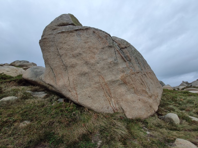 Sector El Camino [III]