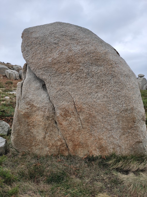 Sector El Camino [III]