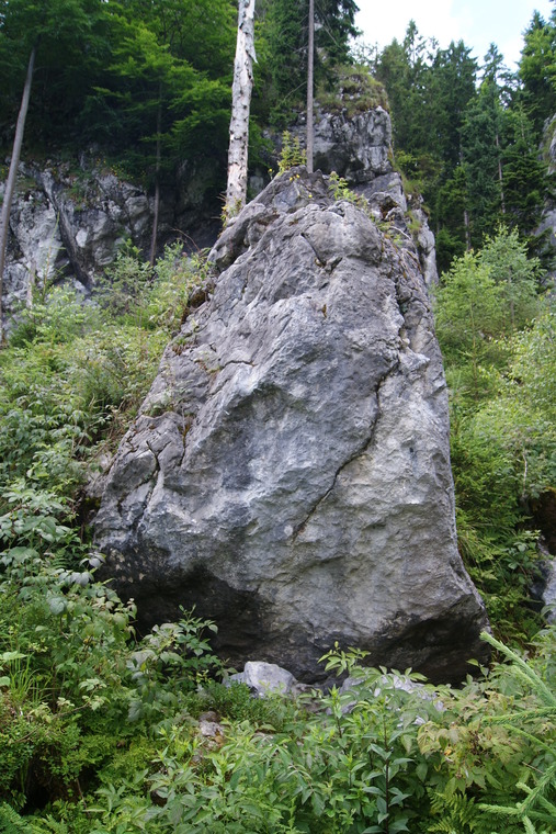 Moonlight (Sektor E)