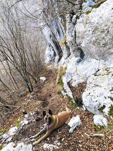 Đole Alp