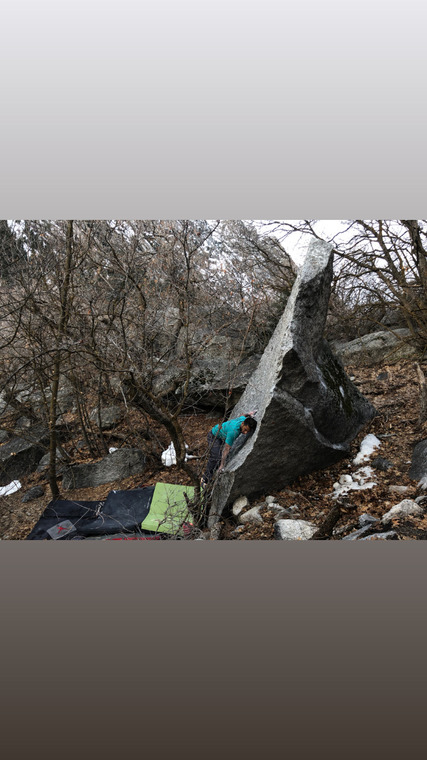 Lizard Head boulders