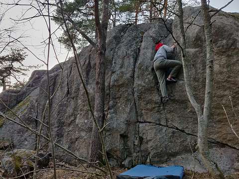 Tuukka Särkelä