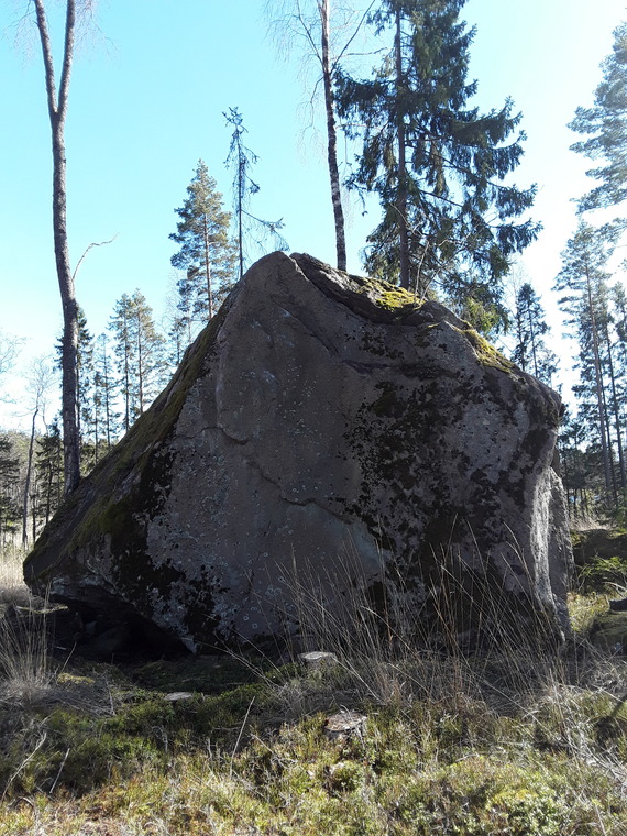 Punanen