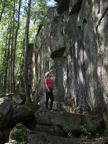 Saana Metsälä