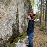 Petteri Ruotsalainen