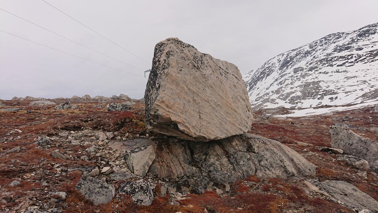 something Greenlandic