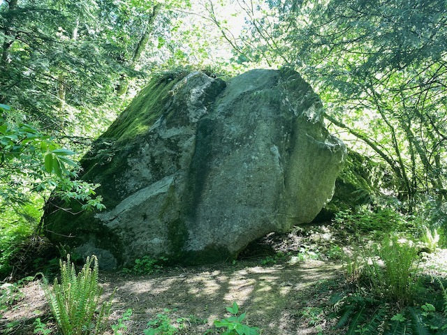 Slight of Foot Boulder