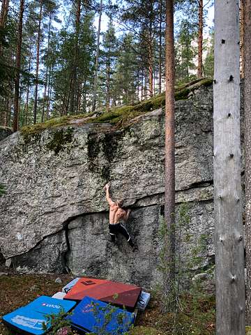 Mikko Laiho