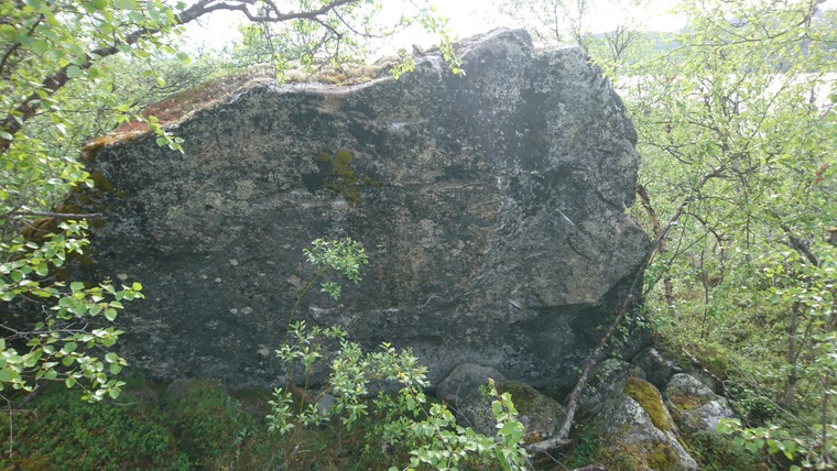 Pallaksen Yrittäjä 