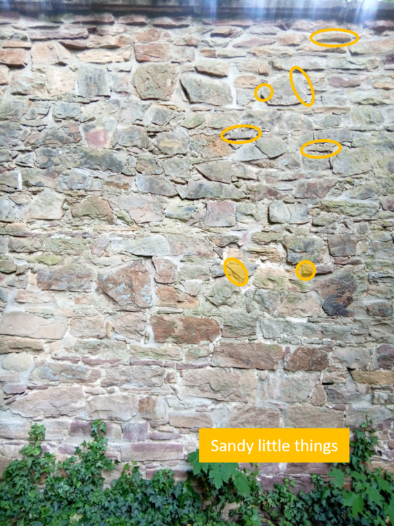 Sektor 1 - Ahaweg bis zum ersten Baum