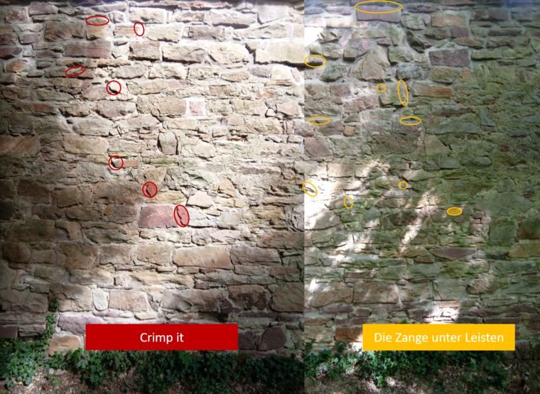 Sektor 2 - erster bis zweiter Baum