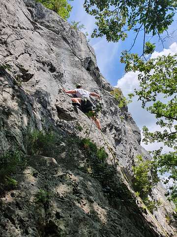 Veno Herceg