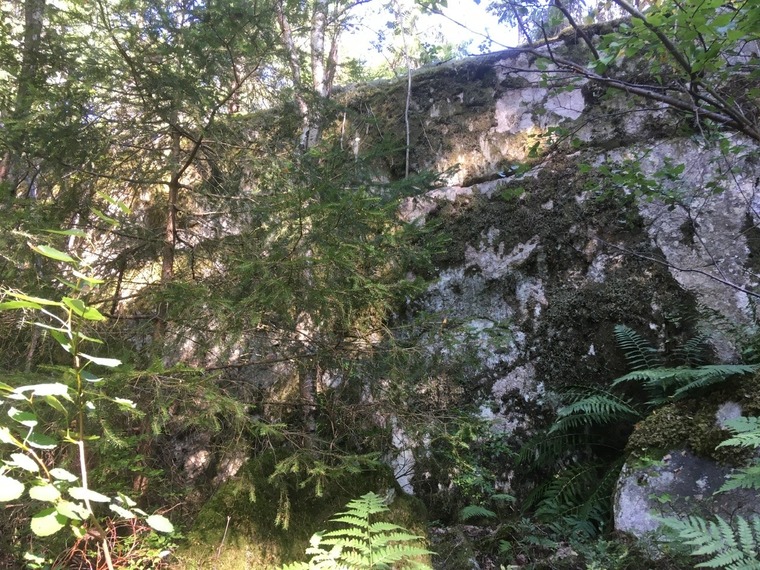 Konditori Fågelsången