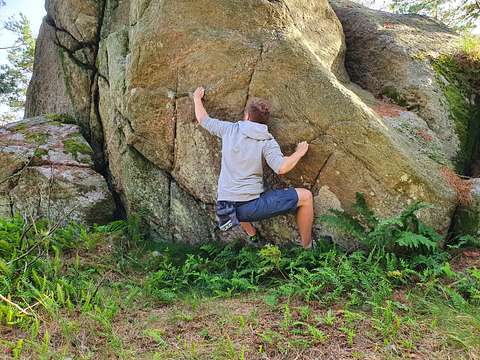 Larsen Trentmann