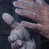 Toiminnan Tarkastaja