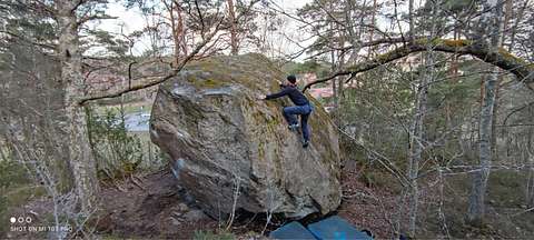 Santeri Salminen