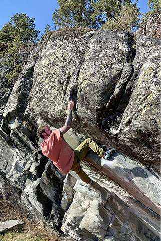 Bård Sjøli
