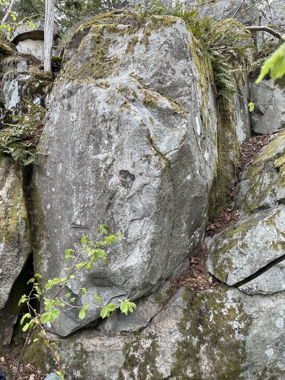 Igelboda 5 (se vanliga Igelboda)