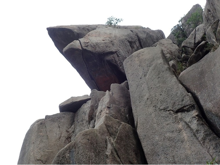 Blacks link buttress