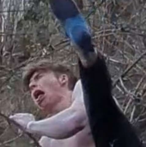 Lukas Andersson