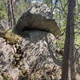 Stone Mushroom thumbnail