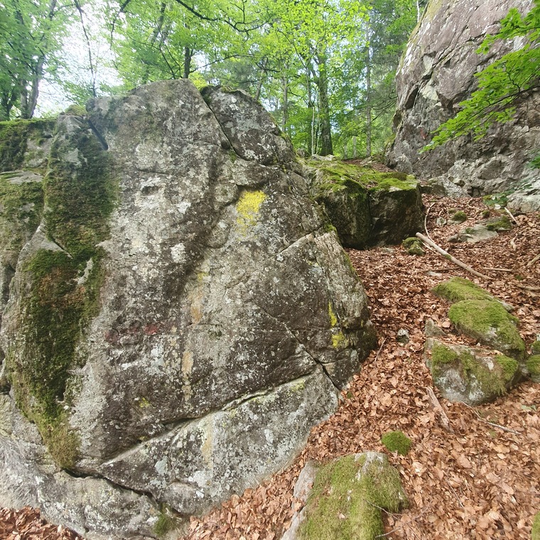 Boulder Felsen
