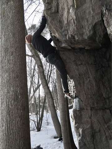 Samuli Lepola
