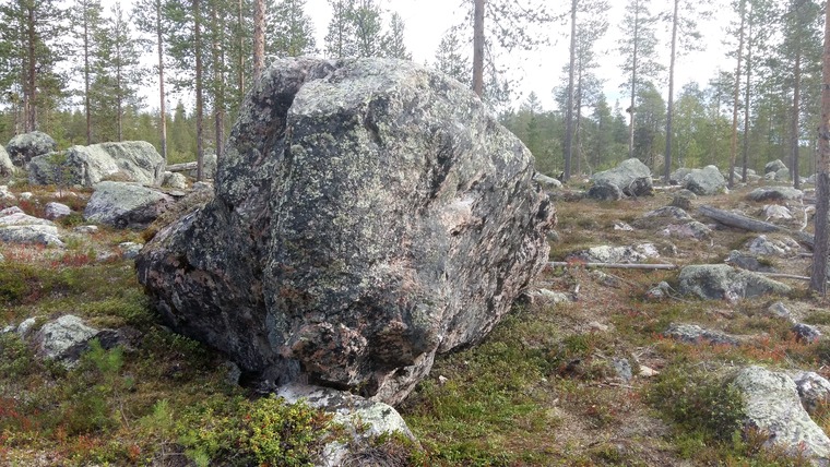 Särkijärven klaani