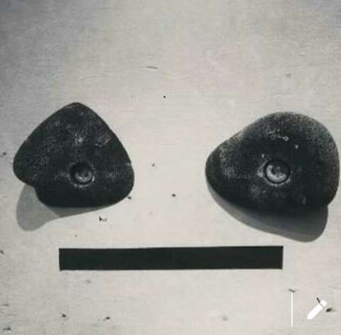 Sam Ogawa