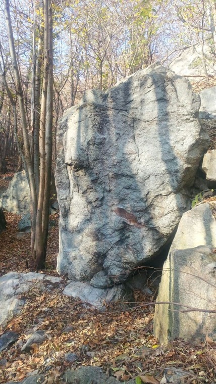 campo sportivo (settore 2)