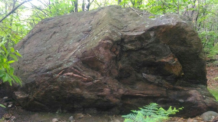 Sassi sparsi (bassi)